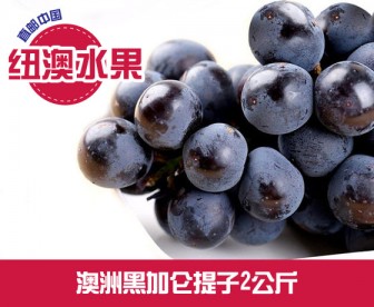 【直发中国】澳洲黑加仑无籽提子 约2公斤/箱 【直发中国】澳洲黑加仑无籽提子 约2公斤/箱